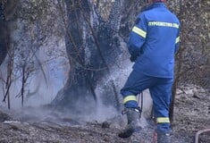 Φωτιά στη Μεσσηνία: Επιχειρούν 40 πυροσβέστες και 2 αεροσκάφη