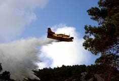 Πάτρα: Φωτιά σε δασική έκταση στην περιοχή Κάτω Βελιτσές