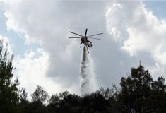 Φωτιά στην Εύβοια κοντά στην Ερέτρια – Μήνυμα 112 προς τους κατοίκους