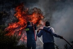 ΦΩΤΙΕΣ ΣΗΜΕΡΑ ΠΥΡΟΣΒΕΣΤΙΚΗ