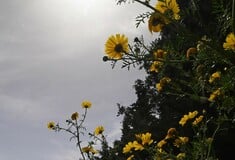 Καιρός - Κολυδάς: Έρχεται πτώση της θερμοκρασίες, μπόρες και καταιγίδες