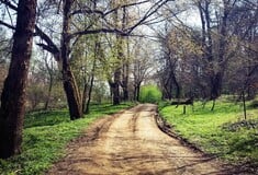 ΕΕ: Νέο σχέδιο για περιορισμένη χρήση πιστώσεων άνθρακα στους κλιματικούς στόχους του 2040