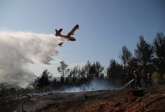 Φωτιά στη Θέρμη και στο Πυργί Μυτιλίνης