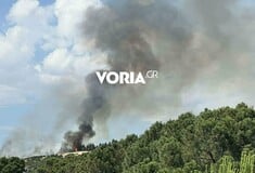 Θεσσαλονίκη: Φωτιά πίσω από το νοσοκομείο «Παπαγεωργίου» – Μαίνεται κοντά σε σπίτια
