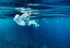 Οι χρεώσεις για τις πλαστικές σακούλες αποδίδουν: Σώζουν θαλάσσια οικοσυστήματα, δείχνει νέα μελέτη