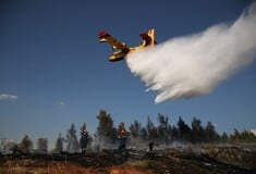 Φωτιά στην Εύβοια - Προειδοποιητικό μήνυμα μέσω του 112