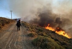 Φωτιά στην Χίο: Μήνυμα του 112 για απομάκρυνση των κατοίκων του οικισμού Δαφνώνα