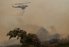 Φωτιά στη Χίο: Ενισχύονται οι δυνάμεις - Ακόμη 250 πυροσβέστες στο νησί
