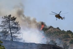 Φωτιά στην Χίο: Ολονύχτια μάχη με τις φλόγες - Νέο 112