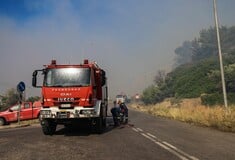 Λακωνία: Δύο συλλήψεις για τη φωτιά στο Καραβοστάσι Μονεμβασιάς