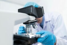 Τοξικός μύκητας της κατάρας των Φαραώ μετατρέπεται σε φάρμακο κατά της λευχαιμίας