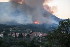 Φωτιά στη Χίο: Εκτός ελέγχου, απειλεί μαστιχοκαλλιέργειες