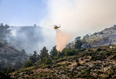 Χίος: Δύο προσαγωγές για τη μεγάλη φωτιά – Πάνω από 65.000 στρέμματα έχουν καεί