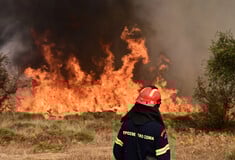 Πυροσβεστική: 46 φωτιές σε δασικές και αγροτικές περιοχές καταγράφηκαν το τελευταίο 24ωρο