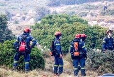 Εύβοια: Οριοθετήθηκε η φωτιά που ξέσπασε κοντά σε εργοστάσιο