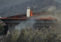 ΦΩΤΙΑ ΠΑΛΑΙΑ ΦΩΚΑΙΑ ΣΠΙΤΙΑ ΚΑΗΚΑΝ