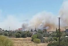 Φωτιά στην Παλαιά Φώκαια: «Η κατάσταση είναι πολύ δύσκολη», δηλώνει ο δήμαρχος Λαυρεωτικής