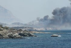 Παλαιά Φώκαια: Η φωτιά προκλήθηκε από καλώδιο του ΔΕΔΔΗΕ