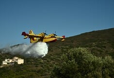 Φωτιά τώρα στην Φωκίδα