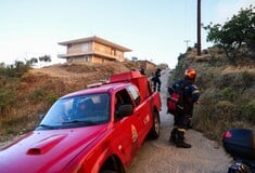 Φωτιά στην Πρέβεζα: Ήχησε το 112