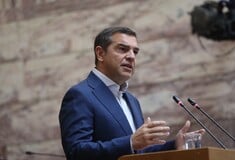 ΤΣΙΠΡΑΣ ΔΗΜΟΨΗΦΙΣΜΑ