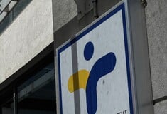 Αιμορραγικός πυρετός: Στη Λάρισα κλιμάκιο του ΕΟΔΥ για λήψη δειγμάτων από ζώα