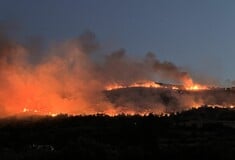 Εμπρησμός από πρόθεση φέρεται να ήταν η φωτιά στη Ναύπακτο
