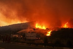 Ολονύκτια μάχη με τη φωτιά στην Τουρκία - Πάνω από 200 σπίτια και επιχειρήσεις στις φλόγες, δεκάδες ζώα νεκρά