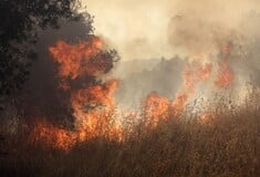 ΦΩΤΙΑ ΤΩΡΑ ΜΑΡΚΟΠΟΥΛΟ