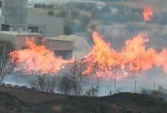 Φωτιά σε εργοστάσιο ξυλείας στις Σέρρες - Μήνυμα 112 στους κατοίκους