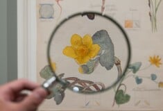 Η Χίλμα αφ Κλιντ και το βασίλειο των πνευμάτων της φύσης