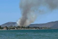 Φωτιά στον Μαραθώνα - Μήνυμα του 112 για απομάκρυνση κατοίκων από τον οικισμό Ριζάρι