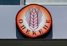 ΟΠΕΚΕΠΕ: Όταν η τέχνη αντιγράφει την ζωή και οι «Συμπέθεροι από τα Τίρανα» έπαιρναν «μαϊμού» επιδοτήσεις