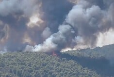 Χαλκιδική: Βελτιωμένη η εικόνα της φωτιάς στη Βουρβουρού 