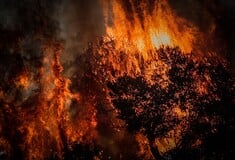 ΦΩΤΙΑ ΣΤΗ ΡΑΦΗΝΑ