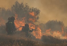 Φωτιά στην Ιεράπετρα: Μήνυμα του 112 για εκκένωση 4 περιοχών