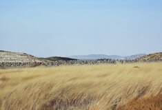 Το «Πλέγμα των Κυκλάδων» και μια έκθεση που μας ταξιδεύει στις διαχρονικές του συνδέσεις