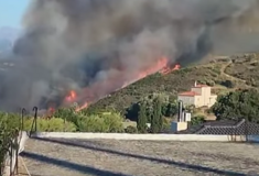 Φωτιά στην Εύβοια: Επιχειρούν 18 εναέρια μέσα 
