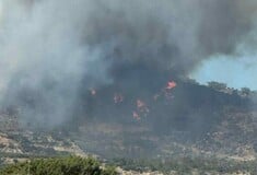 Φωτιά τώρα στο Κορωπί - Κοντά σε κατοικημένη περιοχή