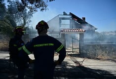 Σε ύφεση η φωτιά στο Κορωπί: Ζημιές σε σπίτια και υποδομές