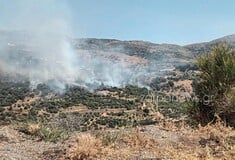 Φωτιά τώρα στον Αγριλέ Χανίων