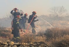 Φωτιά στο Λασίθι: Σε κατάσταση έκτακτης ανάγκης 3 περιοχές