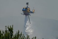 Φωτιά τώρα στην Αλυκή Βοιωτίας - Μήνυμα του 112 για απομάκρυνση των κατοίκων 