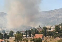 Φωτιά στην Αλυκή Βοιωτίας: «Προλάβαμε τα χειρότερα» - Εκτός κινδύνου ο οικισμός