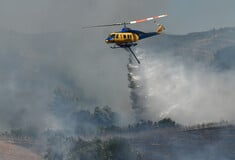 Φωτιά στην Εύβοια: Βελτιωμένη εικόνα - Αισιοδοξία πως θα τεθεί άμεσα υπό έλεγχο