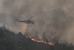 Φωτιά τώρα στη Λέσβο: Επιχειρούν εναέρια μέσα