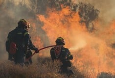 Φωτιά τώρα στο Κιλκίς: Μήνυμα 112 για τους οικισμούς Καβαλάρι και Μουριές