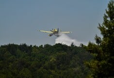 Φωτιά στον Ωρωπό: Επιχειρούν 60 πυροσβέστες και 20 οχήματα