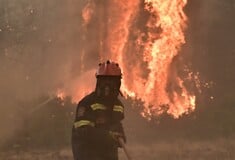 Φωτιά στον Ωρωπό: Κοντά στο Ασπροχώρι οι φλόγες - Σε ετοιμότητα η δομή της Μαλακάσας για εκκένωση
