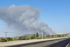 Φωτιά στον Ωρωπό: Ισχυρές εναέριες και επίγειες δυνάμεις - Εστάλη 112